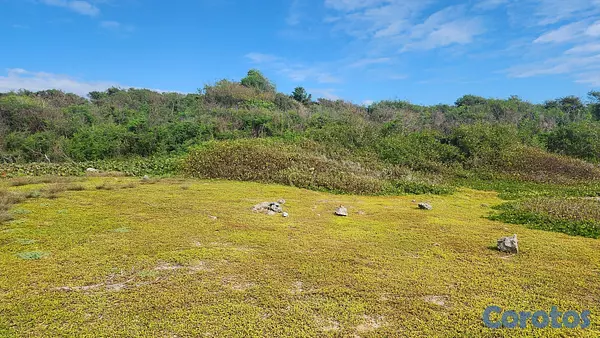 solares y terrenos - Vendo Terreno proximo a Playa Palenque con 100 metros frente al mar 7