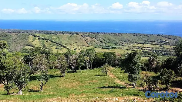 solares y terrenos - Remato Solar de 292mil metros Puerto Plata  5