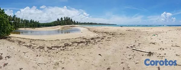 solares y terrenos - Solar con Playa en Miches de 175mil m2 6