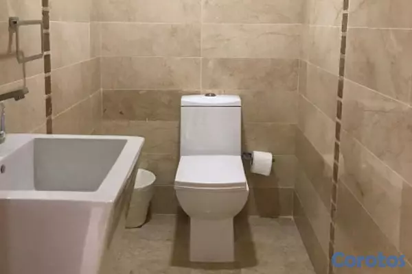 apartamentos - Apartamento en Alquiler en Piantini Amueblado de T 16