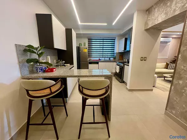 apartamentos - 🔵Alquilo Apt amueblado piso 9 en la Esperilla  10