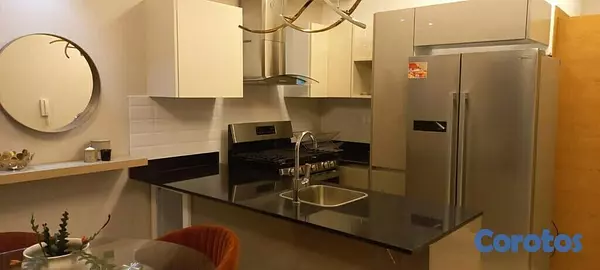 apartamentos - Alquilo Apartamento en sector Exclusivo 5