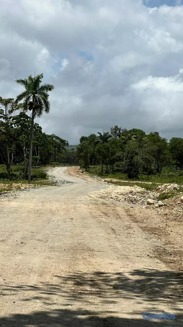 solares y terrenos - TERRENOS EN VENTA EN MUÑOZ PUERTO PLATA 6