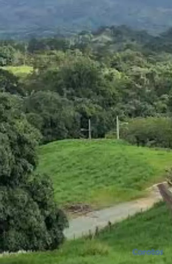 solares y terrenos - Solar 1,000 Mts en Buena Vista, Jarabacoa 1