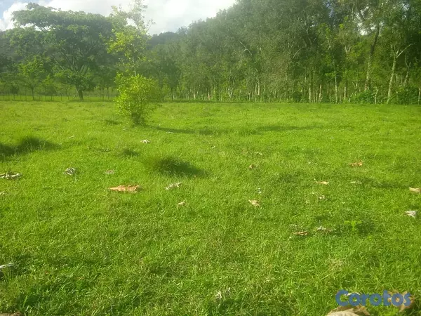 solares y terrenos - finca de 570 tareas en madre vieja sosua  10
