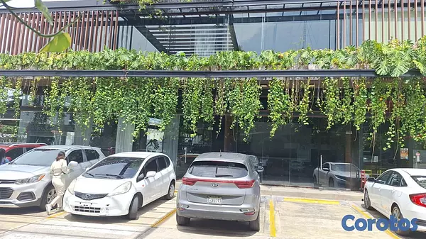 oficinas y locales comerciales - En Alquiler Local En Arroyo Hondo Viejo Para Restaurante 8