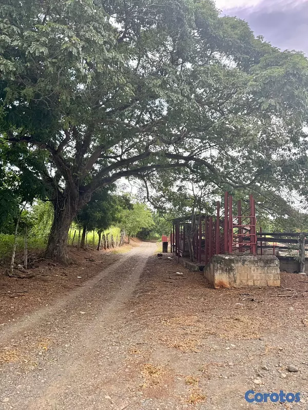 solares y terrenos - Finca Ganadera en Cotui de 800 tareas  6