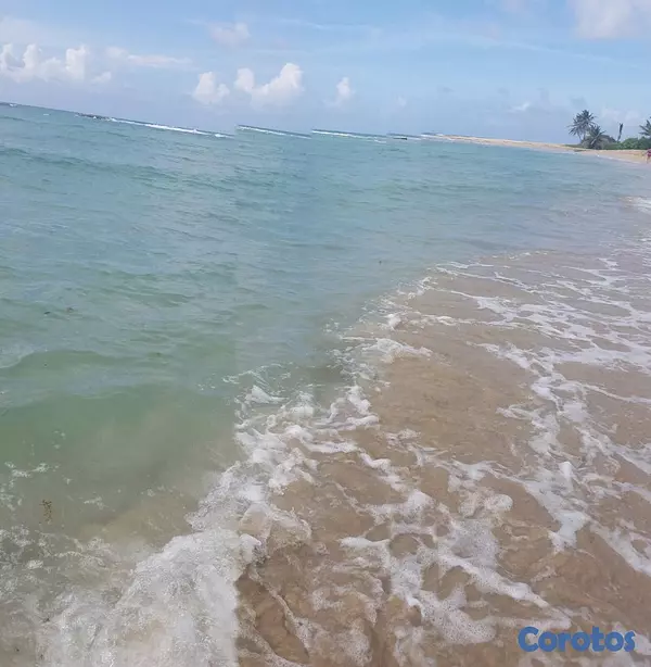 solares y terrenos - Solar con Playa en Miches de 175mil m2 7