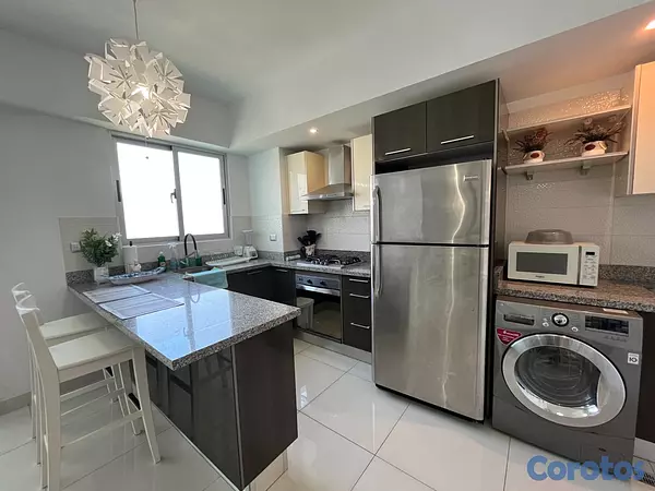 apartamentos - Apartamento en Alquiler en Piantini Amueblado de U 6