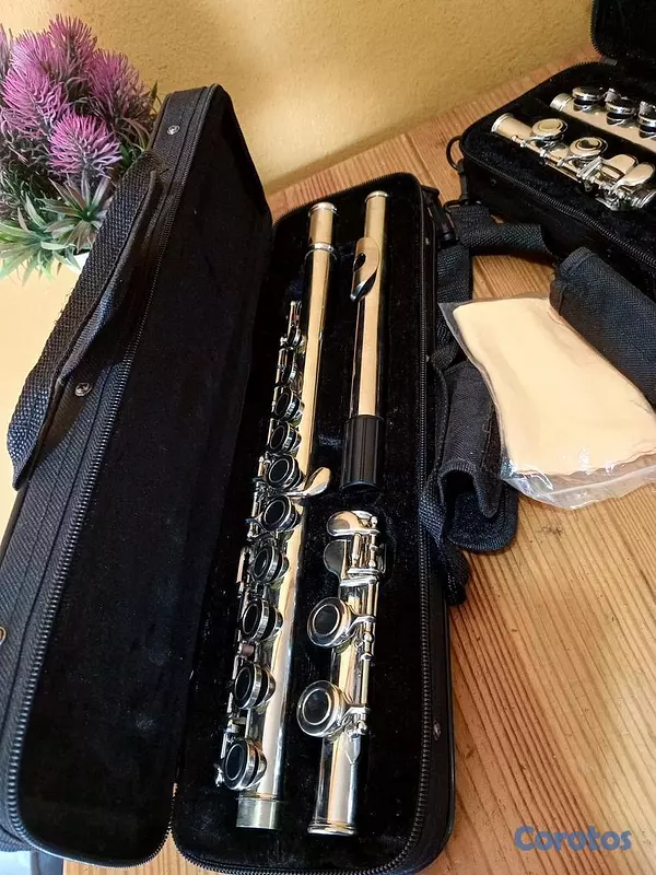 instrumentos musicales - Flauta transversa 3