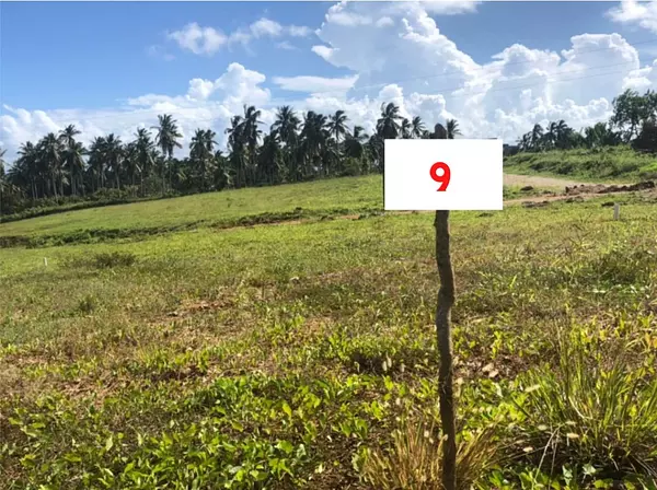 solares y terrenos - Solares en venta, en Sánchez 4