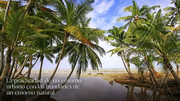 apartamentos - Apartamento En Venta En Las Terrenas, en la playa 6