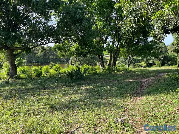 casas - Oportunidad! 38,000 m² en Nigua - Ideal para Naves o Parqueo 11