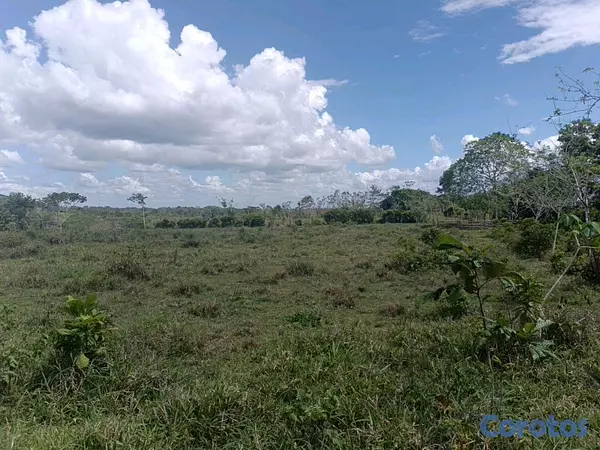 solares y terrenos - finca de 182 tareas en Monte Plata  8