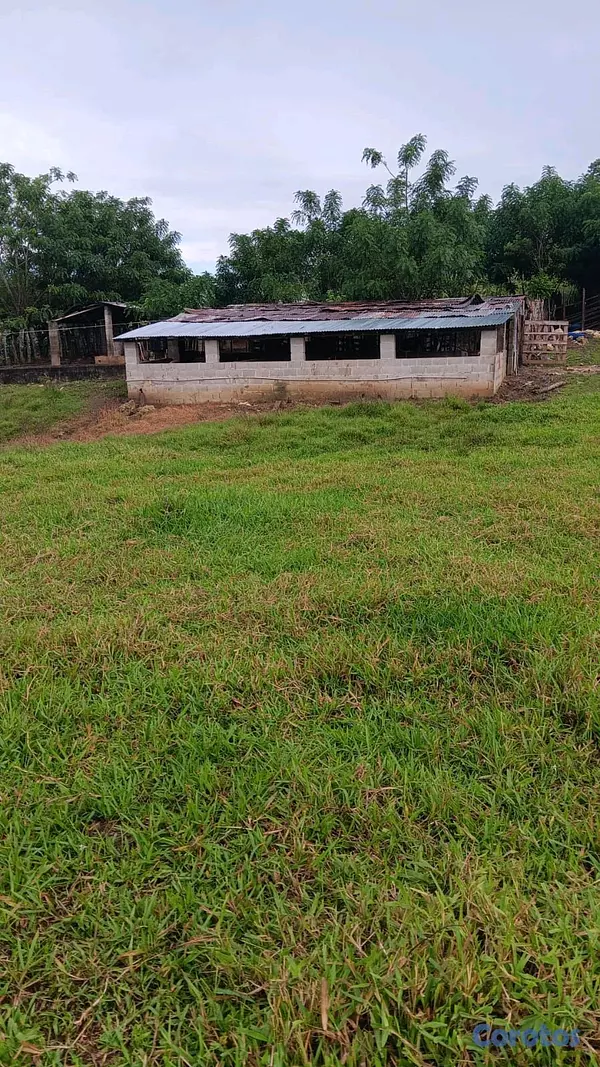 solares y terrenos - finca de 376 tareasen sabana grande de boya  7