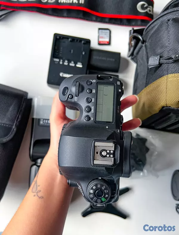 camaras y audio - Canon 6D Mark II 2