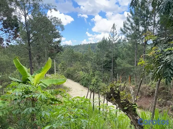 solares y terrenos - TERRENO EN VENTA – JAMAMÚ, SAN JOSE DE LAS MATAS 7