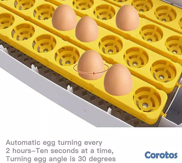 equipos profesionales - Incubadoras de 48 huevos digital automatico para Pollo Aves de corra 7