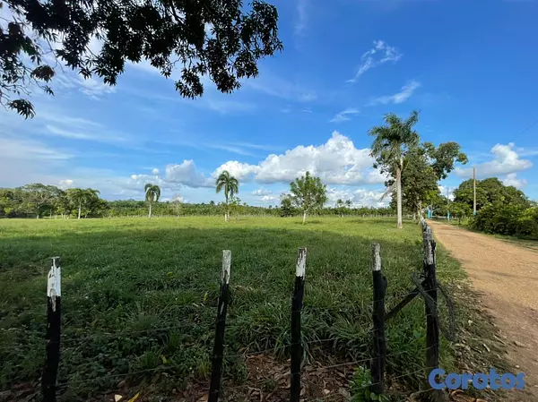 solares y terrenos - Finca Ganadera en Bayaguana de 855 tareas  10