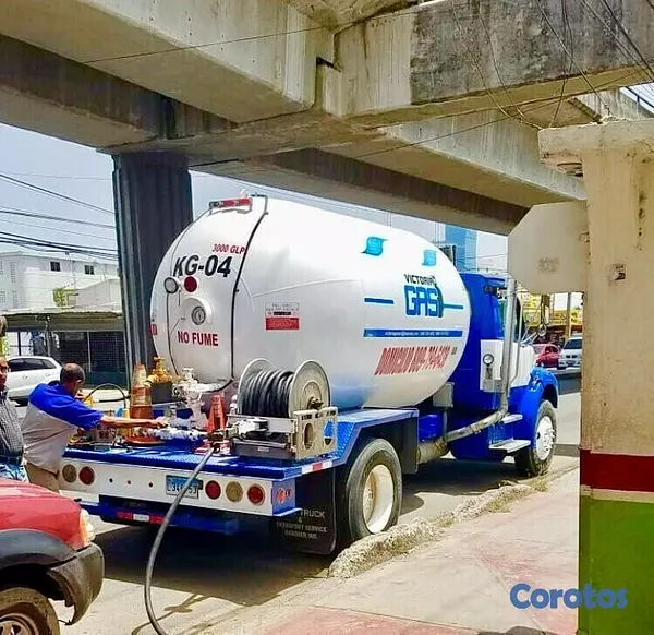 servicios profesionales - Venta de gas y gasoil a domicilio. 6