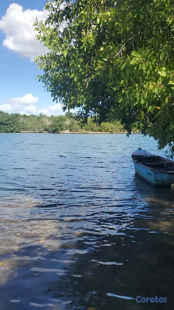 solares y terrenos - Oportunidad única: Terreno de 14,300 m² a orillas  4