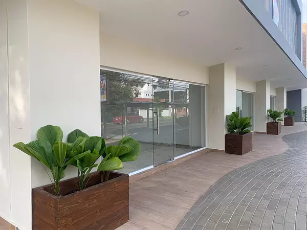 oficinas y locales comerciales - Local céntrico y comercial millon 4