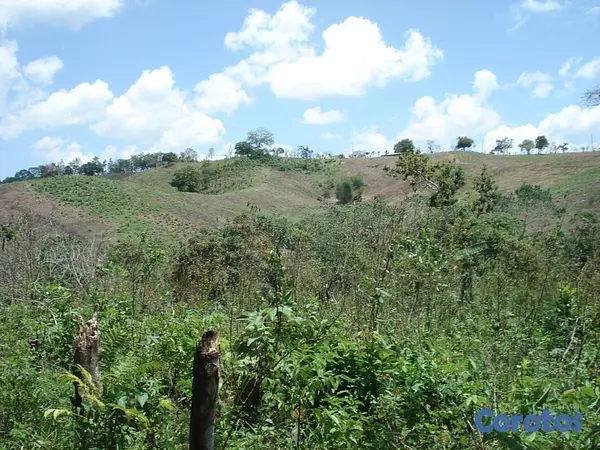 solares y terrenos - Finca con Oro en San Cristobal Documentos en orden 4
