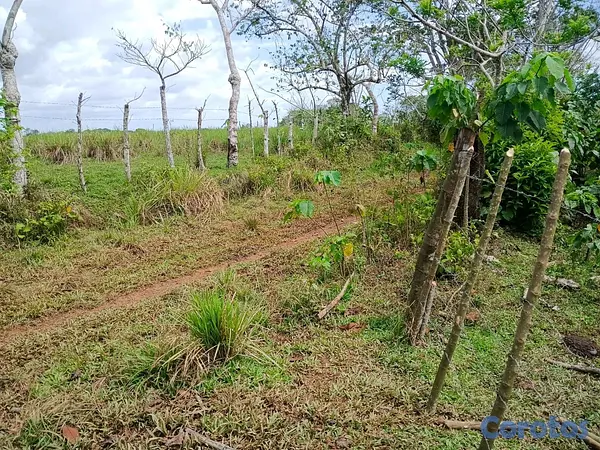 solares y terrenos - finca de 294 tareas de vocación agrícola en Monte Plata  2