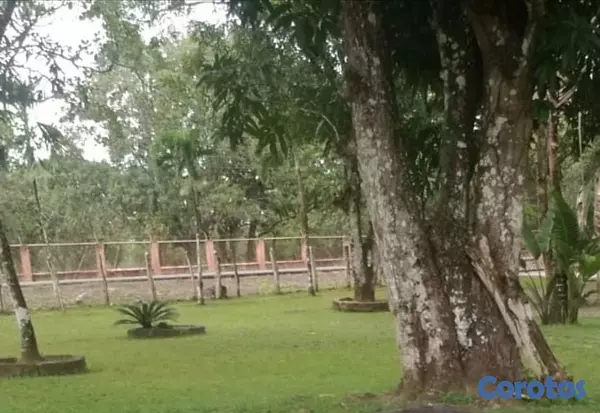 solares y terrenos - venta de Finca en guerra con 145 tareas República Dominicana  4