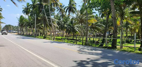 solares y terrenos - Solares en Nagua 8