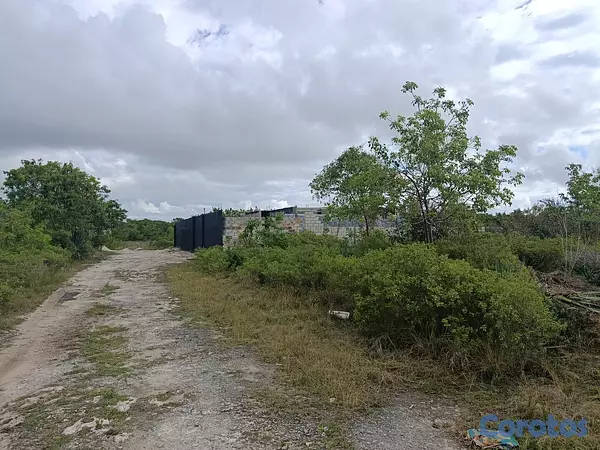 solares y terrenos - Solar venta bravo punta cana 8