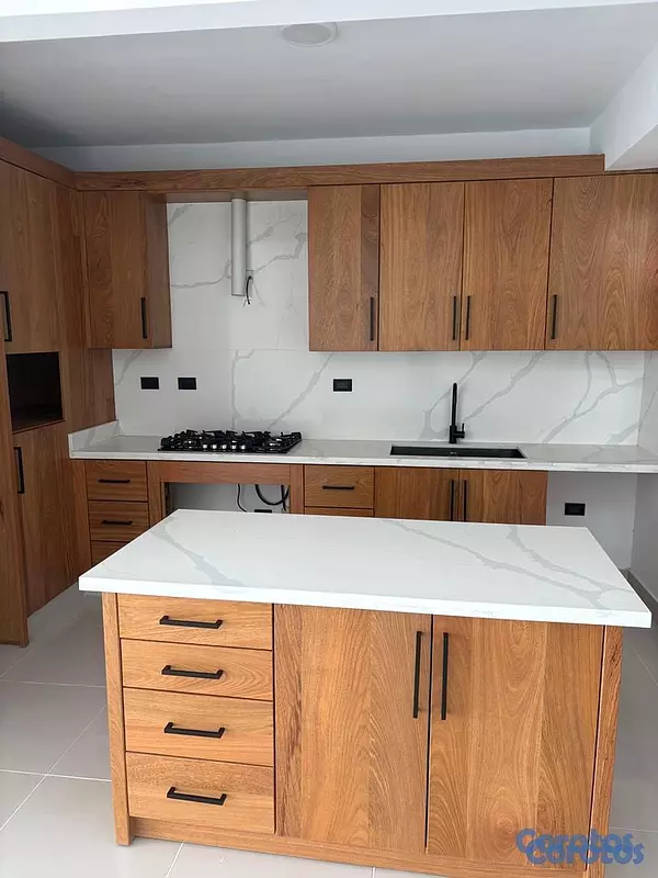 apartamentos - Penthouse en alquiler Villa María, Santiago  10