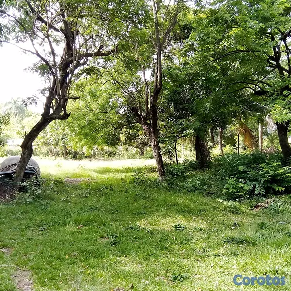 solares y terrenos - Hermosa propiedad en La Plena, Sainagua, San Crist 6