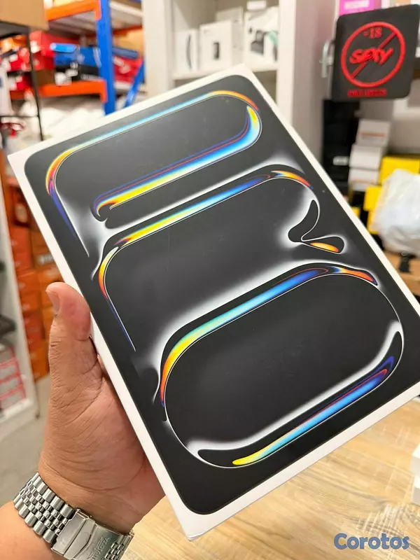 celulares y tabletas - IPad  Pro 11-Inch  M5 Wi-Fi 256GB RD$ 60,500