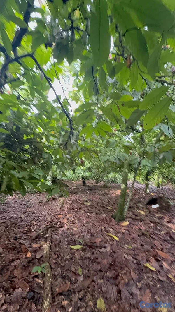 solares y terrenos - TERRENO EN VENTA SAN FRANCISCO DE MACORÍS EL CERCADO DE OPORTUNIDAD  3