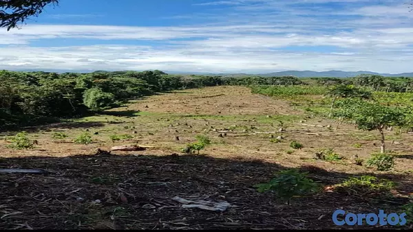 solares y terrenos - En Venta Finca en la Guayiha Proximo Merca Santo Domingo 2