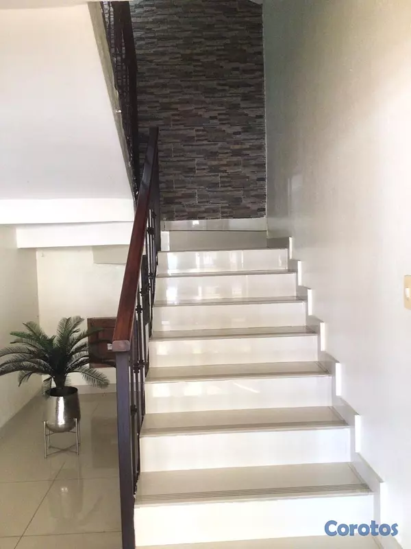 apartamentos - APARTAMENTO EN ALQUILER 4