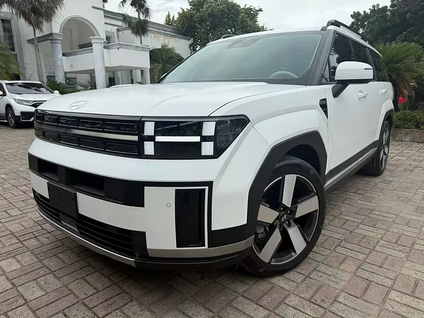 jeepetas y camionetas - hiunday santa fe 2024 7