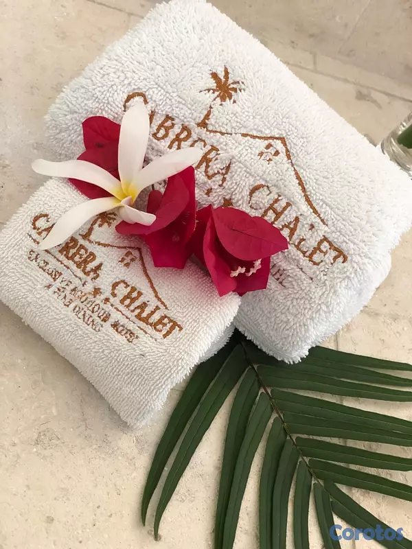 otros inmuebles - Boutique Hotel en venta en Cabrera  3