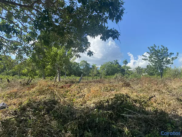solares y terrenos - terreno de 20 mil mts en sosua  7
