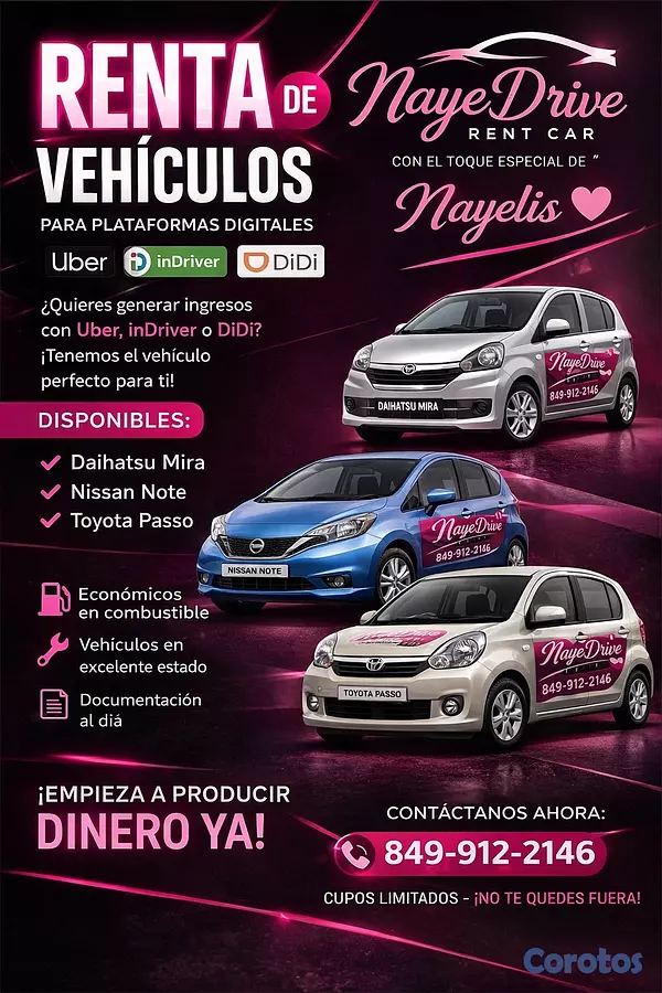 otros vehiculos - Vehículos disponibles para plataformas digitales  5