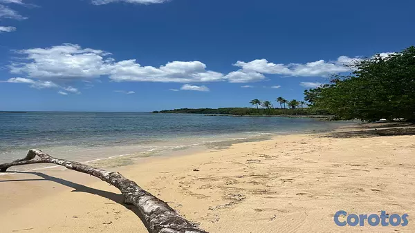 solares y terrenos - Terreno en venta en Río San Juan cerca de Playa Los Minos y Laguna Gri-Gri 6