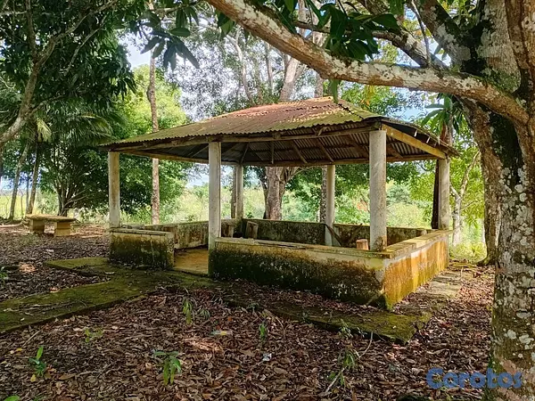 solares y terrenos - finca de 40 tareas en sabanagrande de boya  5