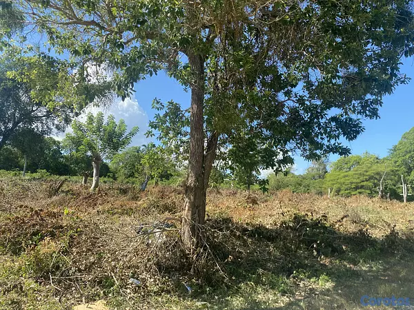 solares y terrenos - terreno de 20 mil mts en sosua  8