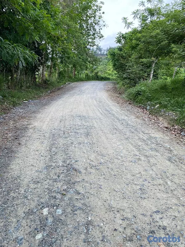 solares y terrenos - Vendo Finca en Yamasa, Monteplata 11