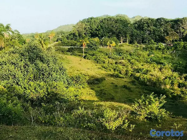 solares y terrenos - Venta de solar en Samana 3