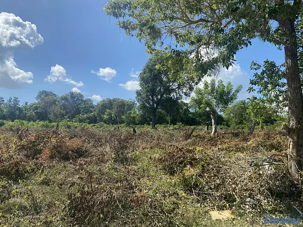 solares y terrenos - terreno de 20 mil mts en sosua  9