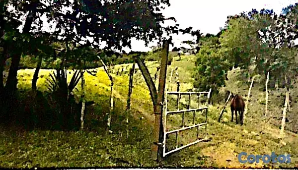 solares y terrenos - finca de 729 tareas en san José de las matas  2