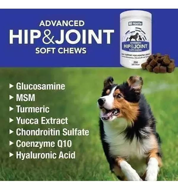 Salud y Equipamiento Médico - Glucosamina Condroitina Con Tumeric Para Perros - 250 Dosis 2