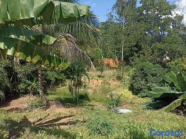 solares y terrenos - Propiedad En Los Mogotes, Villa Altagracia A Solo  5